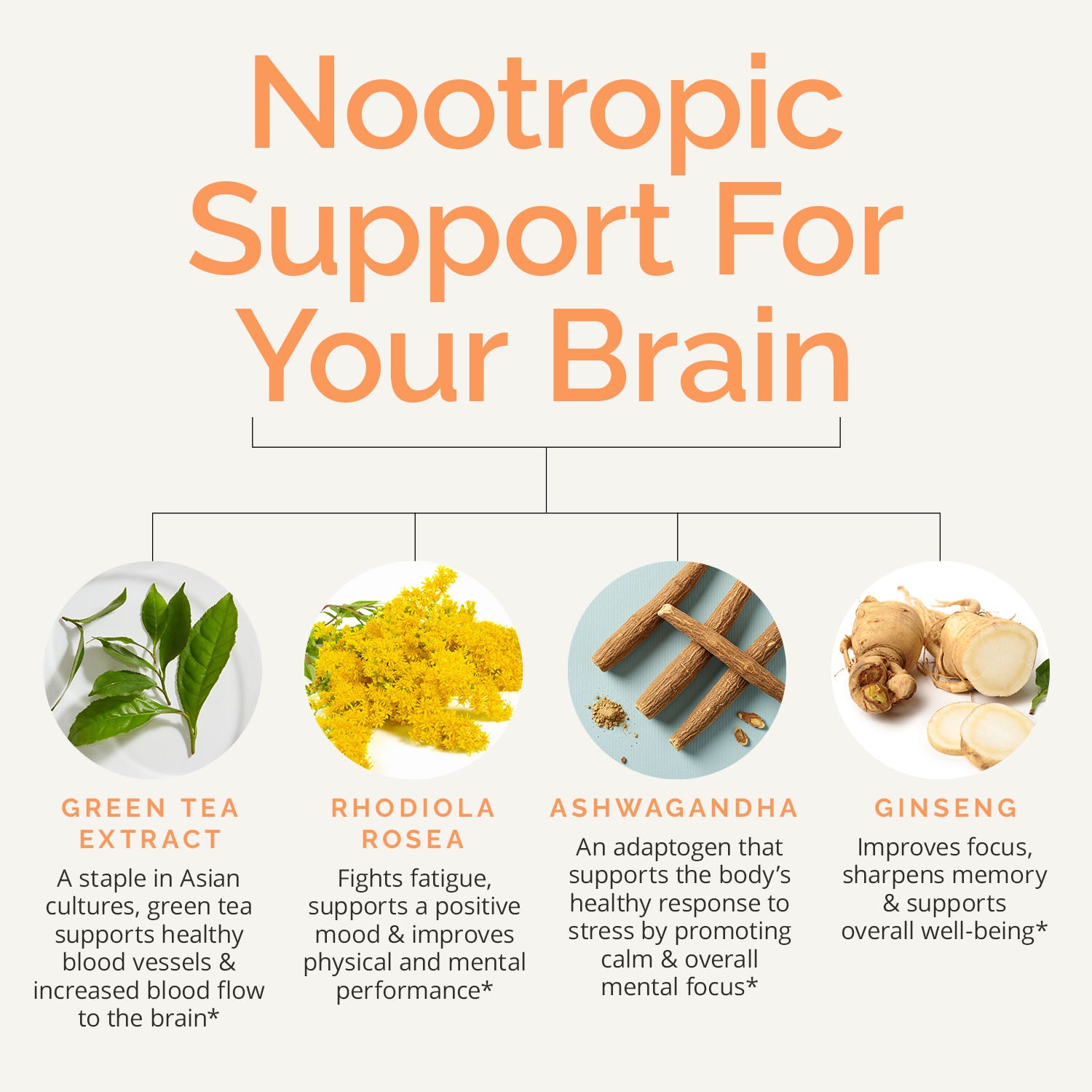 Focus and Energy Supplement | BrainMD | BrainMD