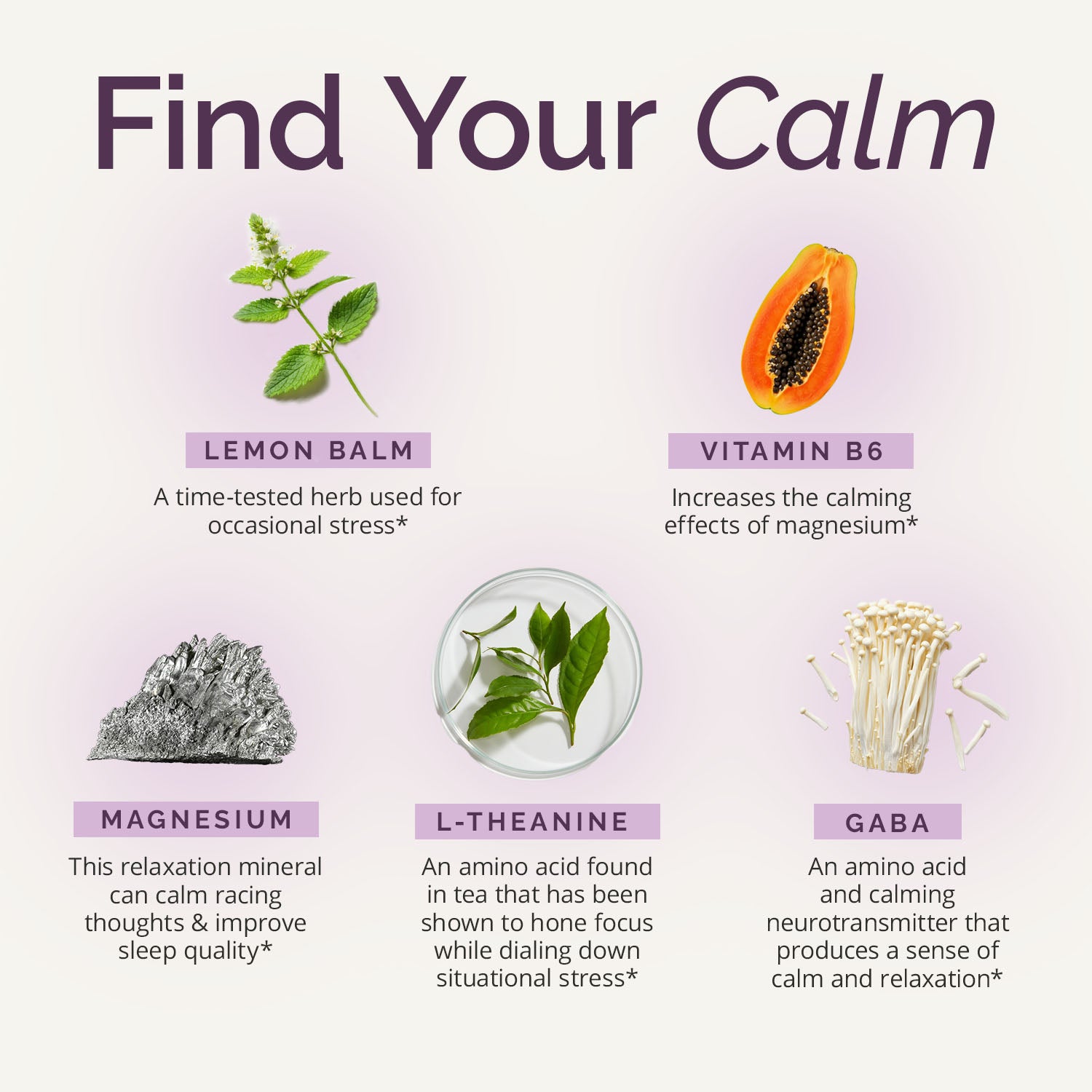 GABA Supplement | GABA Calming Support | BrainMD | BrainMD
