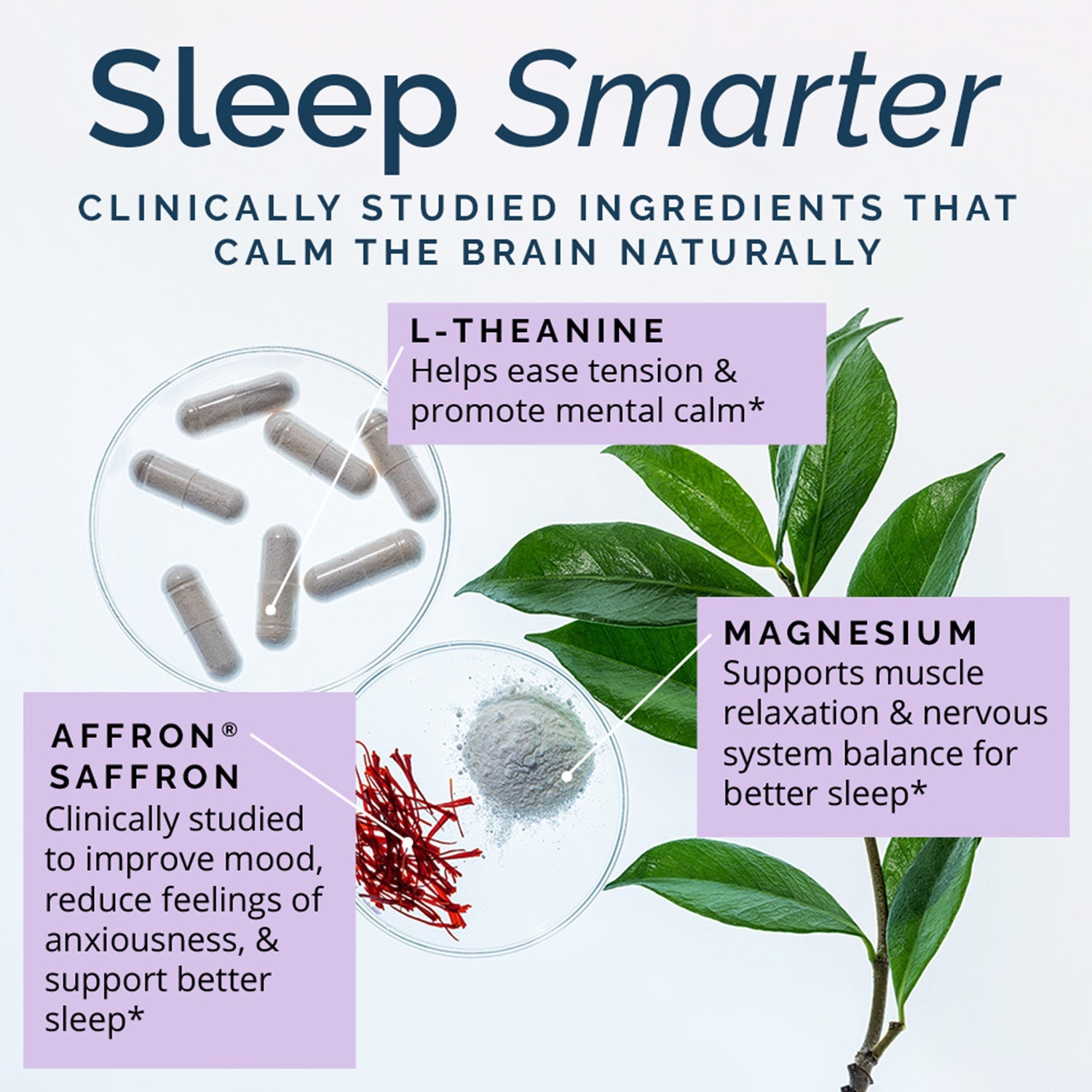 BrainMD Quiet My Mind Sleep: "Sleep Smarter" infographic displays the raw ingredient forms of l-theanine, saffron & magnesium