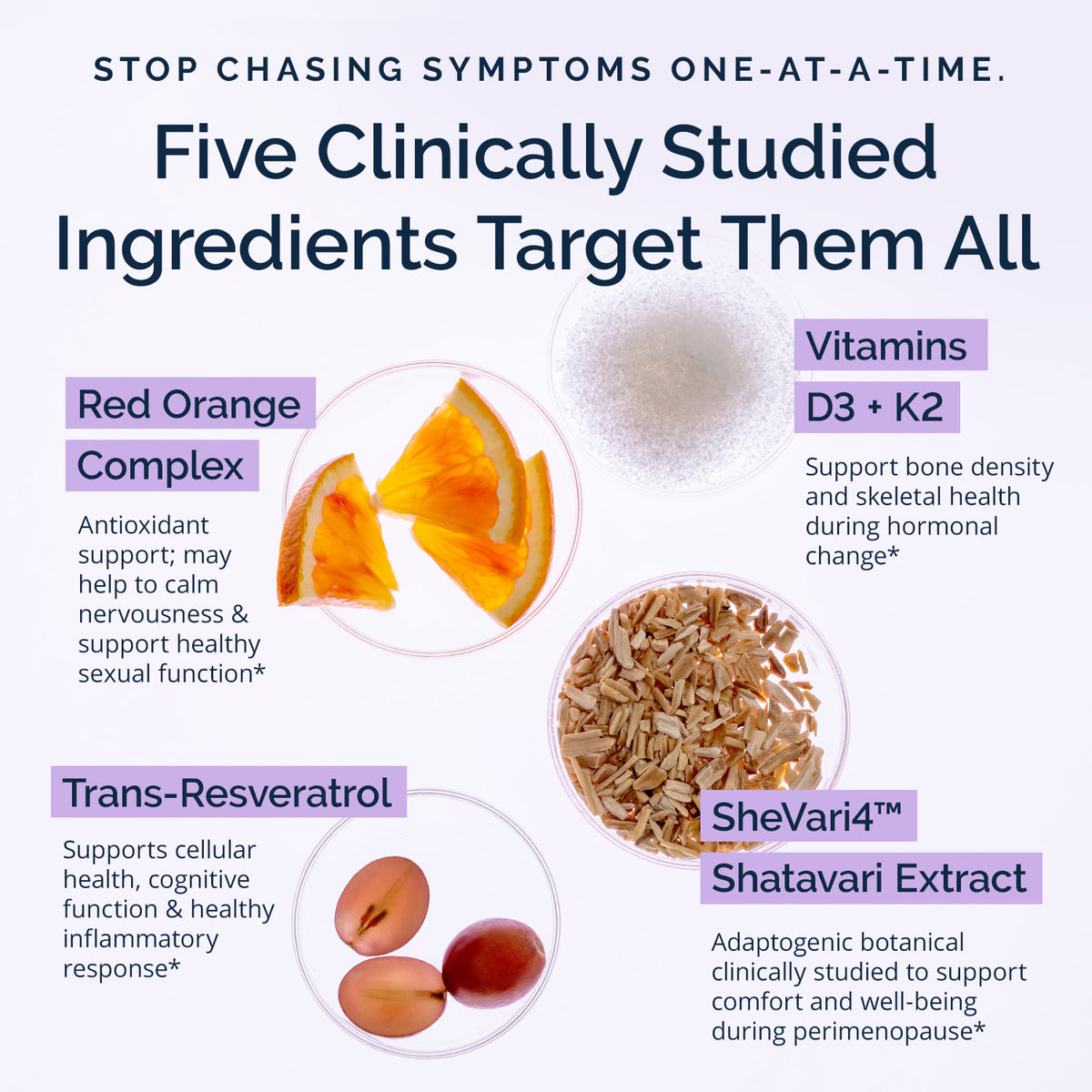 Perimenopause Support+ ingredients infographic: SheVari4 shatavari extract, Red Orange Complex, trans-resveratrol and vitamins D3 + K2
