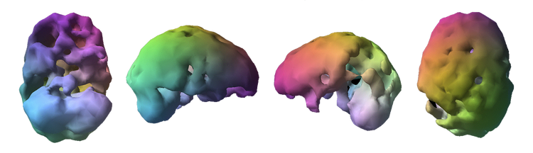 Brain Health Assessment | BrainMD